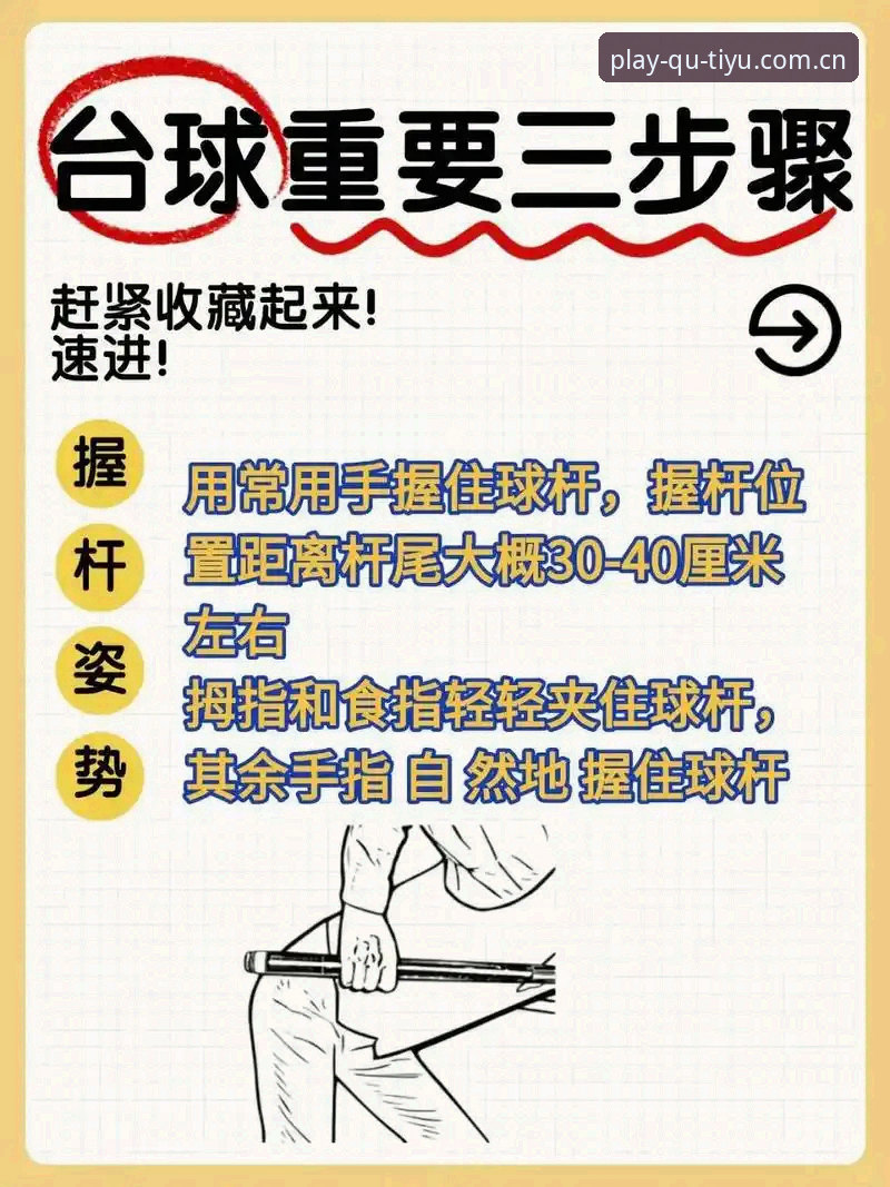 趣体育运动数据服务教程 趣体育平台数据服务入门:7个实用技巧助你快速上手