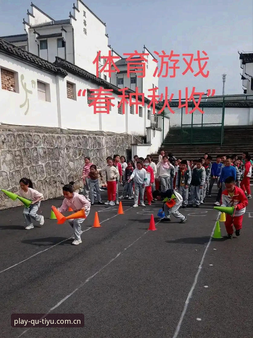 揭秘趣体育版本更新背后的真相：这些隐藏功能你千万别错过